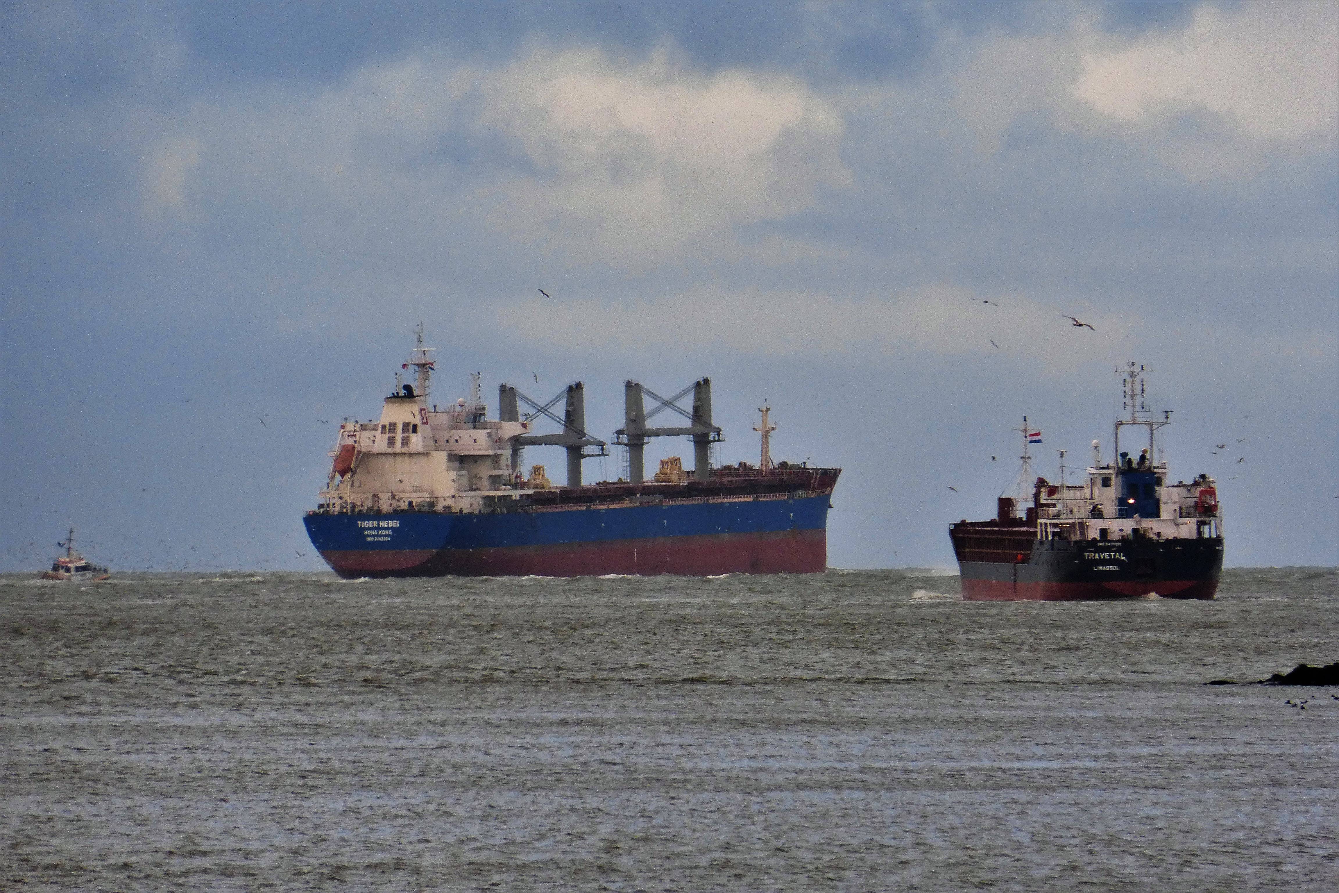 Pieren IJmuiden   24-12-20 